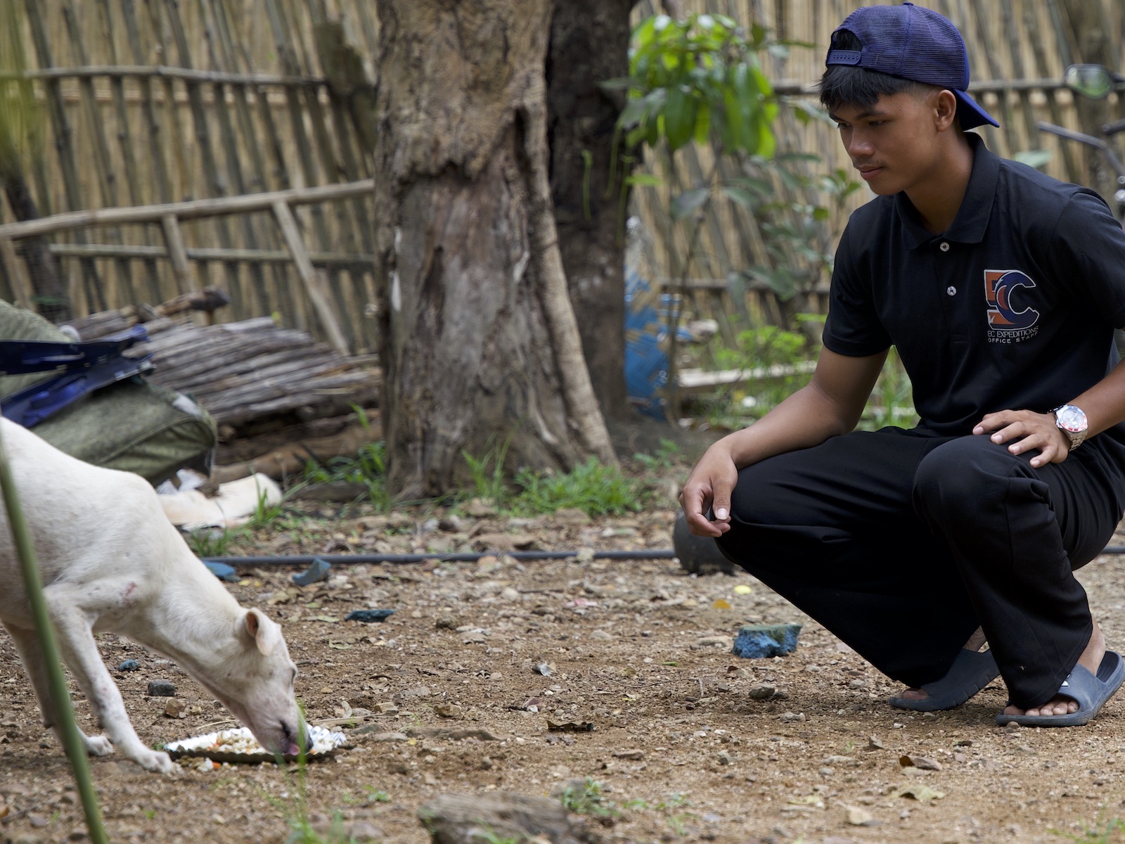 Stray Feeding Program